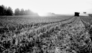 Alta das commodities agrícolas chegou ao fim