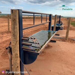 Bebedouros d` água e hidrômetros para gado