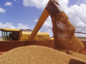 Conab prevê produção de grãos em 254 milhões de toneladas, impactada por clima adverso