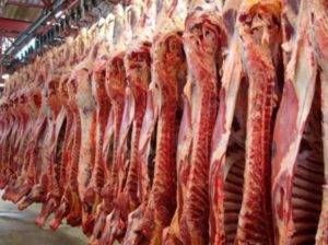 Exportações de carne bovina devem registrar recorde em 2022