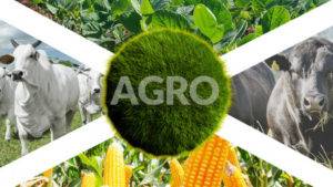 O ABC do futuro do Agro