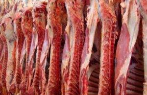 Cenário para a carne bovina em 2023 é de otimismo