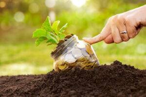 Crédito rural: BB supera marca mensal e desembolsa R$ 26,4 bilhões em agosto