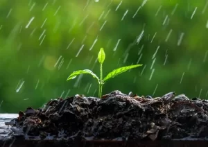 Previsão do tempo para o fim de semana indica chuva, trovoadas e granizo