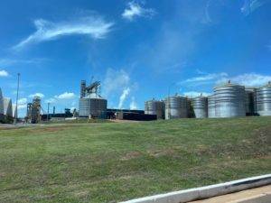 Alta na produção de milho sustenta crescimento do mercado de etanol