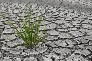 Preparo para a seca de 2023 já deve ser iniciado neste ano