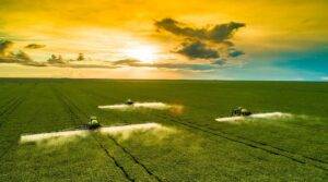 Desembolso do crédito rural chega perto de R$ 175 bilhões até novembro