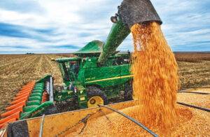 Ipea, Conab e Cepea apontam desaceleração nos preços dos principais produtos agropecuários brasileiros