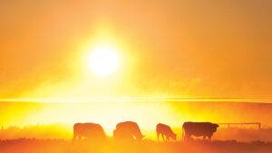 Mudança do clima é maior risco no agro, diz pesquisa