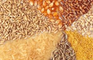 Estudo da Conab avalia papel da perda de grãos na redução do desperdício de alimentos