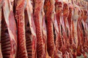 Exportação de carne bovina em janeiro bate recorde no mês