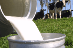 Ano inicia com ligeiro aumento nos custos de produção da pecuária leiteira