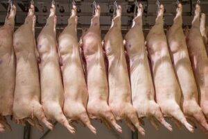 Vendas internacionais de carne suína do Brasil aumentam 14,9% neste ano