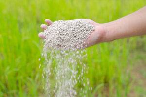 Queda no preço dos fertilizantes pode reduzir custo de alimentos ao consumidor