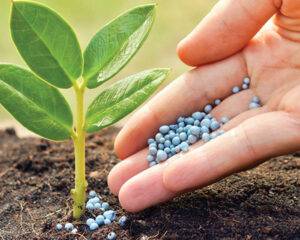 Fertilizantes: Índice de Poder de Compra tem melhora em fevereiro