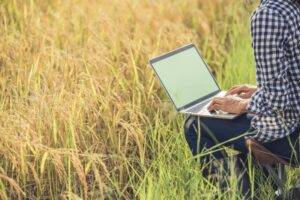 Cresce a formalização do emprego no agro
