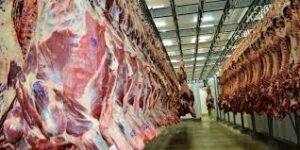 Principais países importadores de carne bovina do Brasil em março de 2023