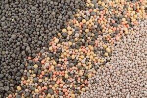 Produtores mantêm cautela nas compras de fertilizantes
