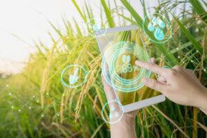 Perspectiva favorável aguça apetite de investidores por empresas do campo