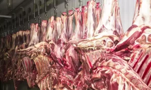 Assinatura de acordo de cooperação com o Chile sobre habilitação de estabelecimentos exportadores de carnes pelo sistema de “pre-listing”