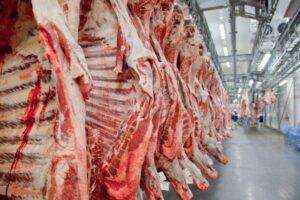 Febraban aprova regra de autorregulação para crédito a frigoríficos