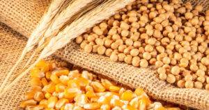 USDA mantém estimativa para safras de soja e milho do Brasil; mercado esperava cortes