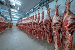 Abrafrigo: exportação de carne bovina em maio cresce 11% em volume; receita cai