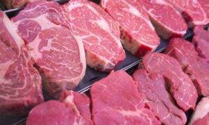 Fukushima desenvolve sistema de avaliação precoce de carne bovina baseado em IA