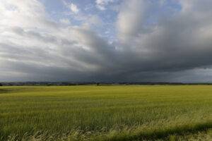 Inflação causada por problema climáticos: entenda o que é sogflação e como impacta a cadeia de alimentos