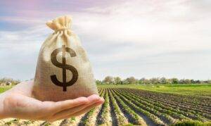 Desembolso do crédito rural alcança R$ 318,7 bilhões em 11 meses