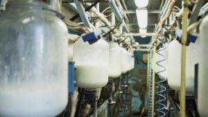Com perda do poder aquisitivo, consumo de lácteos cai, puxado pelo preço ainda alto do leite