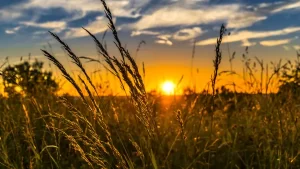 El Niño até o fim do verão: veja como isso afeta o Brasil