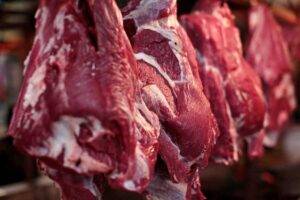 Carne bovina: Brasil exporta na parcial de julho/24 volume acima do registrado em todo julho de 2023