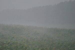 Nova frente fria pode provocar 70 mm de chuvas no Sudeste; confira a previsão