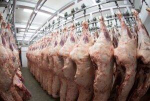 Exportação de carne bovina supera o total embarcado em maio do ano passado
