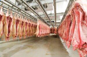 Exportações de carne suína crescem 9,3% em julho