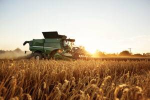Commodities agrícolas têm alta generalizada nesta 6ª feira e soja na CBOT acompanha movimento