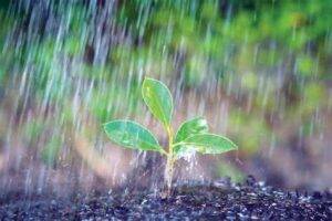 Pancadas de chuva se espalham pelo Brasil