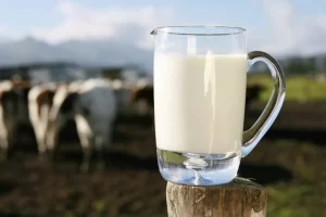 Produção leiteira de Goiás cresce e estado segue entre os maiores do Brasil