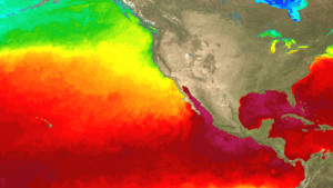 Novembro marca fase mais aguda do El Niño