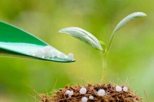 Fertilizantes mais caros em julho: impacto das commodities