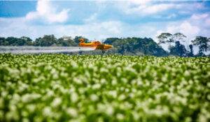 Agro cresce mais de 10% no segundo trimestre de 2025