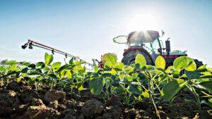 Governo destina R$ 500 milhões para financiar agricultura familiar