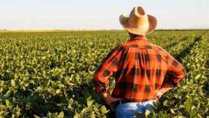 Renda de trabalhadores rurais cresce 5,5% no primeiro trimestre de 2025