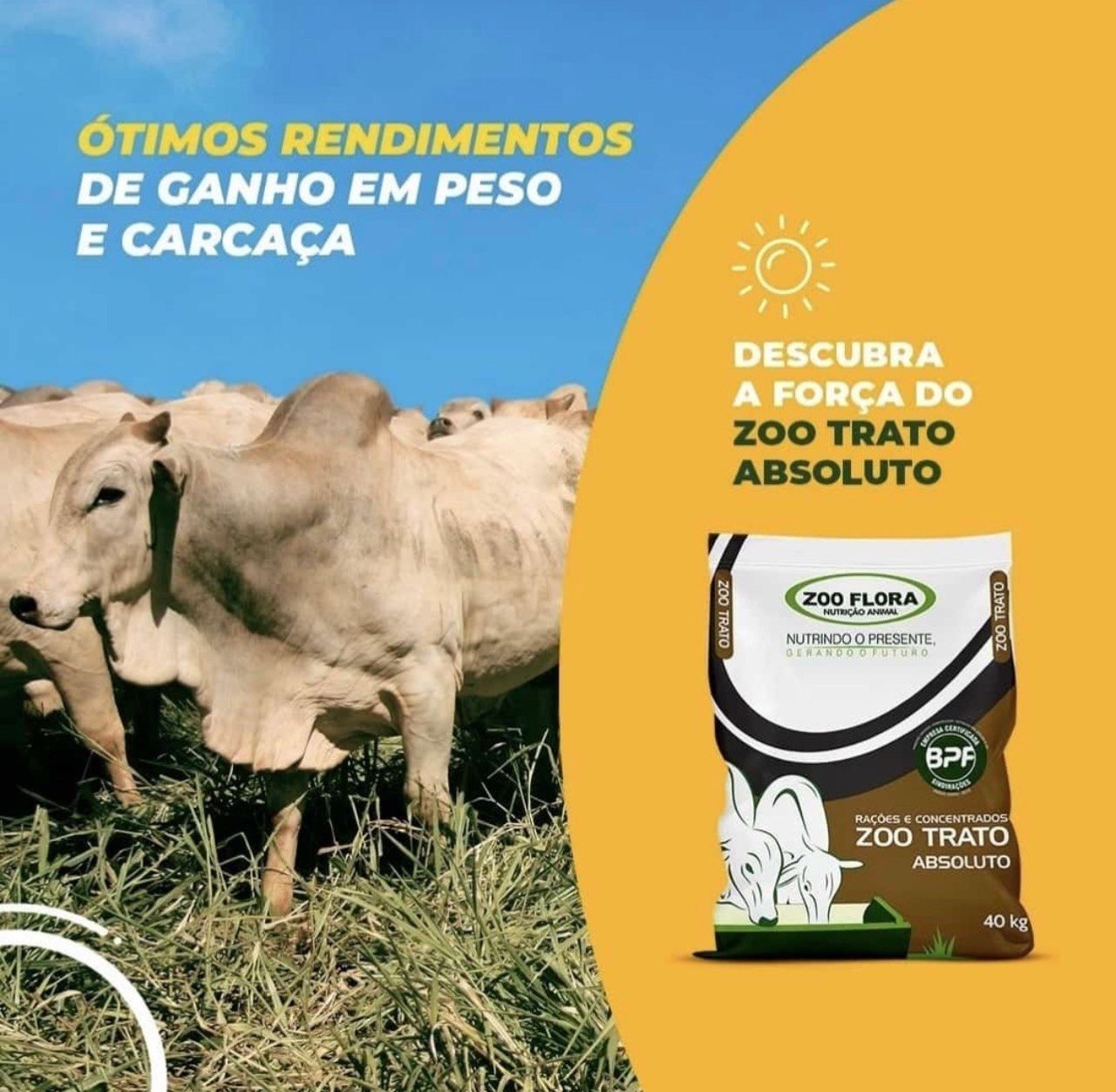 ZOO TRATO ABSOLUTO - Imagem 4